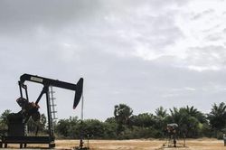 CHDC Congo khởi động cuộc đấu giá gây tranh cãi cho 30 lô dầu khí