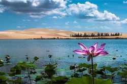 Kẽ hở quản lý đất đai tại Bình Thuận