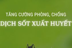Tăng cường phòng, chống dịch sốt xuất huyết