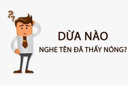 Dừa nào nghe tên đã thấy nóng?