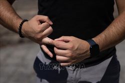 New York (Mỹ) ban bố tình trạng khẩn cấp về bệnh đậu mùa khỉ