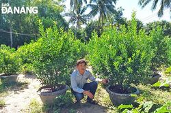 Sản xuất phân hữu cơ sinh học từ lông gia cầm