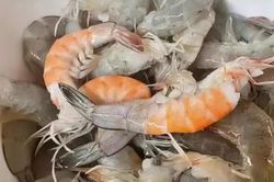 1001 tình huống bi hài khi đối mặt với cái nóng kinh hoàng của mùa hè