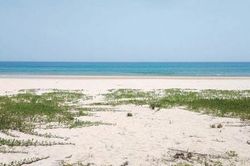 Đời sống Đời sống Yên bình, trong lành những vùng biển vắng