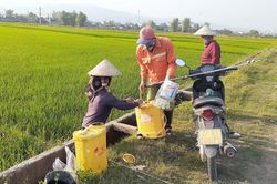 Chăm sóc, bảo vệ lúa mùa ngay từ đầu vụ