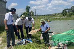 Khánh Hồng, triển khai thí điểm thành công nhiều mô hình kinh tế mới cho hiệu quả cao