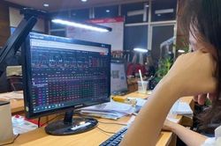 VN-Index tiếp tục tăng điểm, nhà đầu tư tá hỏa vì ứng dụng chứng khoán 'đơ' cả tiếng