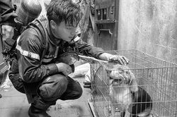 Di ảnh cảnh sát chữa cháy bên chú cún được cứu làm lay động cộng đồng mạng