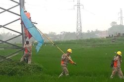 Xử phạt nam thanh niên thả diều làm chập cháy, mất điện trên diện rộng