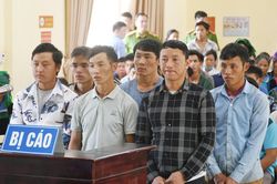 Bài học đắt giá cho hành vi khai thác gỗ trái phép