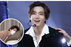3 kiểu cười đặc trưng của nam idol K-pop 'đốn tim' fan: BTS, EXO, NCT
