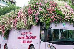Dàn xe xuống phố chở đầy sen mùa hạ với thông điệp yêu thương