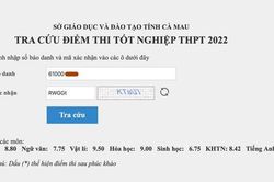 Sở GD&ĐT Cà Mau nói gì vụ học sinh giỏi nhận điểm 0 môn tiếng Anh?