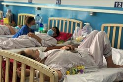 TP Hồ Chí Minh: Số ca mắc sốt xuất huyết tiếp tục gia tăng
