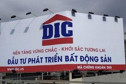 Phó Chủ tịch DIG lại mua 'hụt' cổ phiếu
