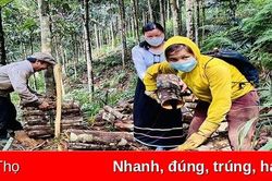 Những 'thủ lĩnh hai vai'
