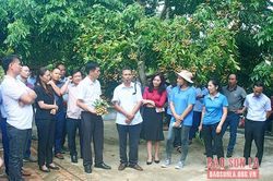 Diễn đàn 'Giải pháp phát triển mối liên kết bền vững vùng nguyên liệu cây ăn quả các tỉnh miền núi phía Bắc'