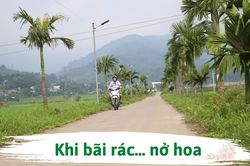 Khi bãi rác… nở hoa