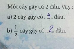Bài toán tiểu học '1/2 cây gậy có mấy đầu' gây tranh cãi