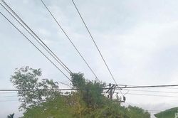 Chặt cần câu gần đường dây điện, nam sinh lớp 10 bị điện giật tử vong