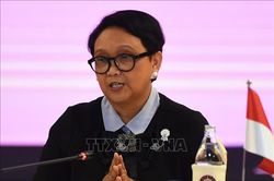 Indonesia kêu gọi các nước ASEAN+3 tăng cường hợp tác