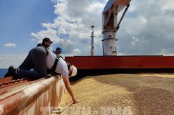 Thổ Nhĩ Kỳ: Thêm 3 tàu chở ngũ cốc rời Ukraine trong ngày 5/8