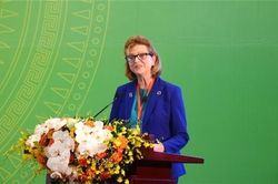 UNDP: 6 ưu tiên hành động trong lộ trình Việt Nam tới 'net zero'