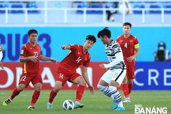 Khi cánh cửa dự World Cup mở rộng…