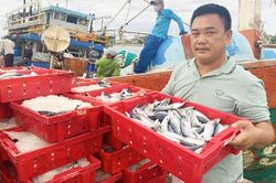 Một tàu của ngư dân Quảng Bình trúng đậm mẻ cá trị giá 2,5 tỷ đồng
