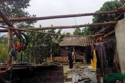 Mưa lớn gây nhiều thiệt hại tại Tuyên Quang