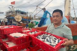 Một ngư dân Quảng Bình trúng 250 tấn cá, thu về 2,5 tỷ đồng