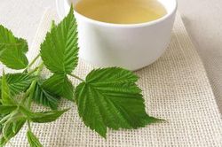 Trà lá cây mâm xôi có an toàn với thai kỳ?