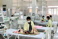 Gia Lai tập trung xử lý và khống chế các ổ dịch sốt xuất huyết