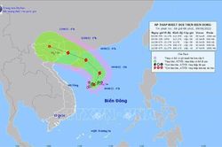 Chủ động ứng phó với áp thấp nhiệt đới có khả năng mạnh lên thành bão