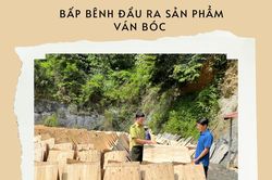 Bấp bênh đầu ra sản phẩm ván bóc
