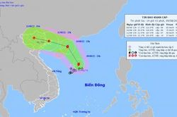 Áp thấp nhiệt đới mạnh lên thành bão số 2 Mulan, hướng vào miền Bắc