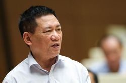 Chưa cấp giấy chứng nhận kinh doanh cá cược vì chưa có dự án nào hoàn thành