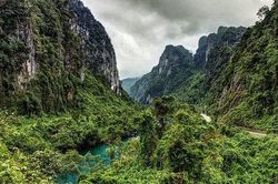 Quảng Bình: Đặt bẫy ảnh xác minh thông tin xuất hiện hổ tại Phong Nha - Kẻ Bàng
