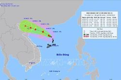 Chủ động ứng phó với bão số 2