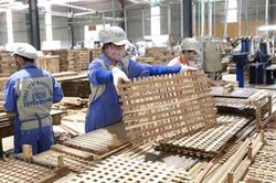 Vì sao ngành gỗ liên tiếp đối mặt với các vụ kiện phòng vệ thương mại?
