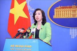 Đề nghị các nước phối hợp tháo gỡ khó khăn, sớm cấp thị thực cho hộ chiếu mẫu mới