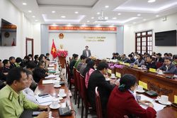 Công tác quản lý, bảo vệ và phát triển rừng có chuyển biến nhưng vẫn tiềm ẩn phức tạp