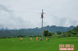 Công ty Điện lực Sơn La: Khắc phục sự cố mất điện do mưa lớn