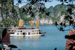 Bài 2: 'Cứu' doanh nghiệp du lịch: Chính sách cần sát với thực tế