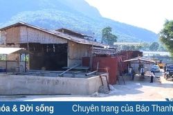 Quan Hóa: Sản xuất gắn với bảo vệ môi trường trong chế biến lâm sản
