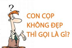 Con cọp không đẹp thì gọi là gì?