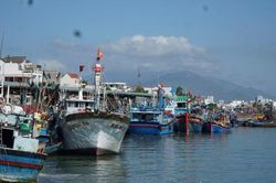 Nghiên cứu, hỗ trợ người dân bị ảnh hưởng do giá xăng dầu tăng