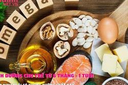 Thực đơn dinh dưỡng cho trẻ từ 6 tháng đến 1 tuổi