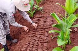 Quảng Trị phát hiện, xử lý thành công hầm chứa 144 vật liệu nổ
