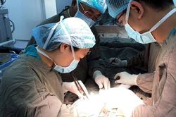 Hy hữu: Cấp cứu ca chửa ngoài tử cung ở đại tràng ngang